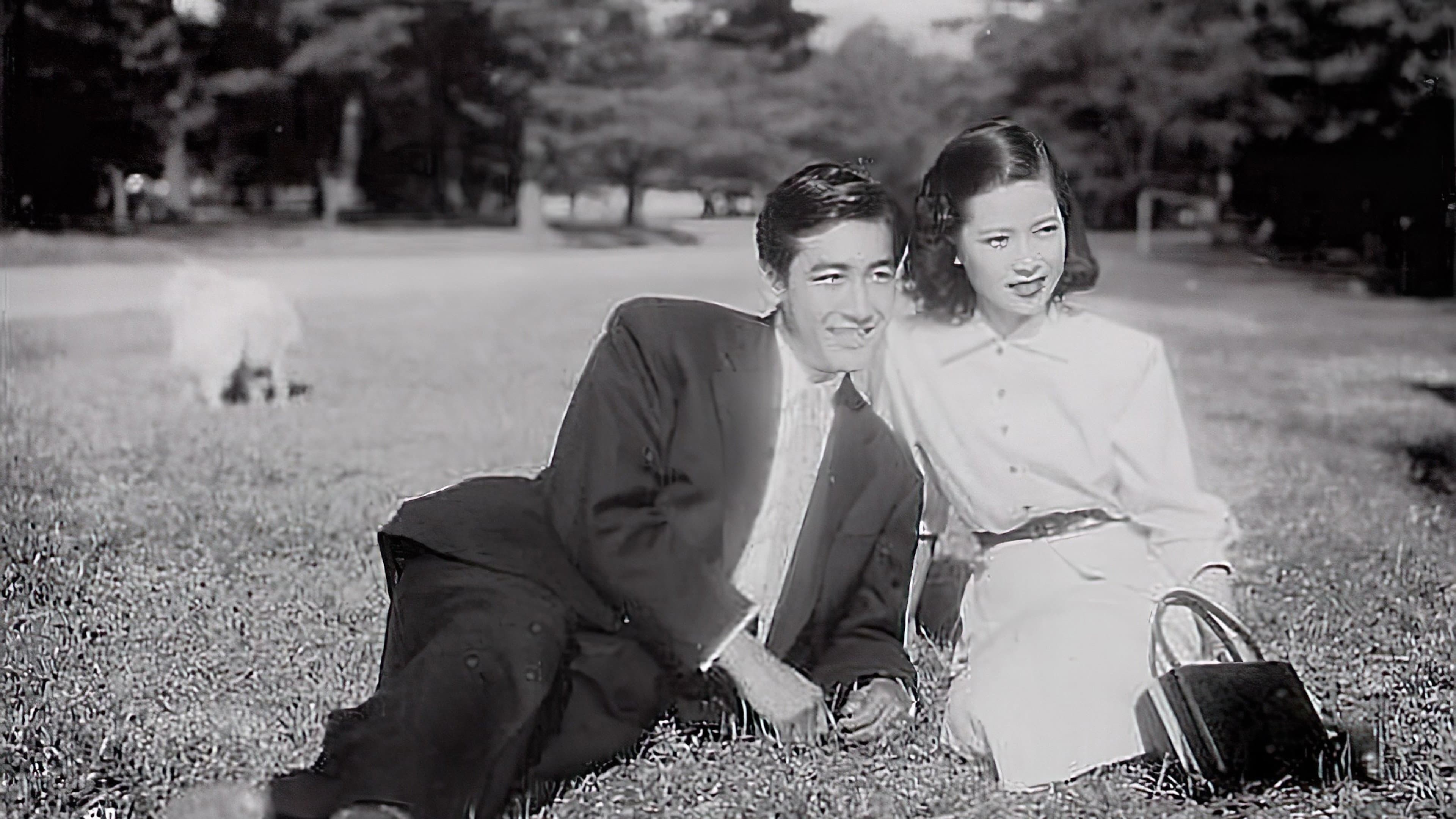 薔薇合戦