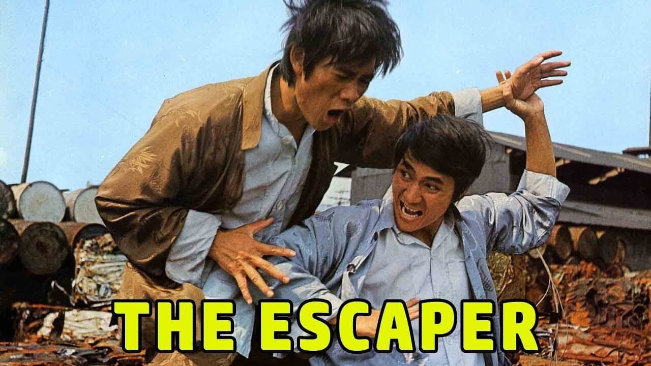 十段高手