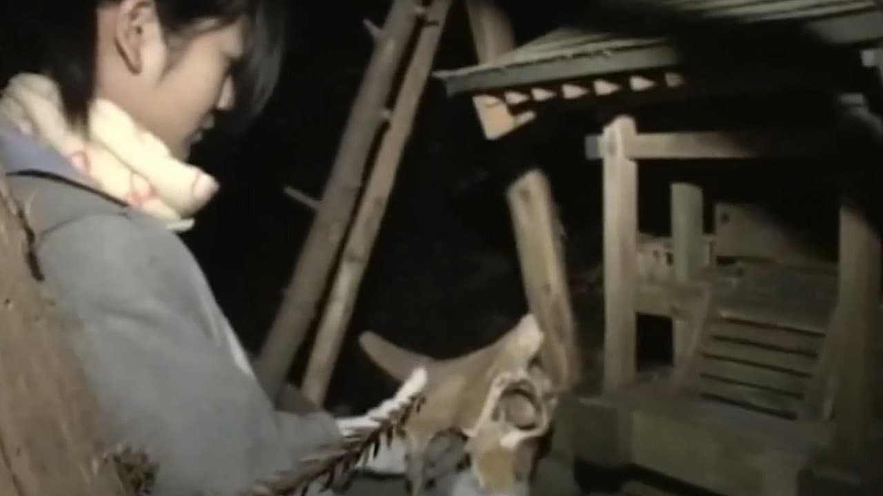 ほんとにあった！呪いのビデオ The Movie 2
