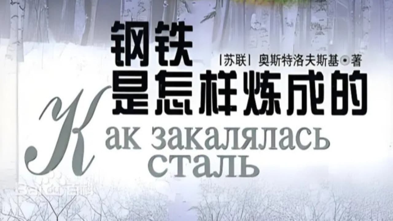 钢铁是怎样练成的
