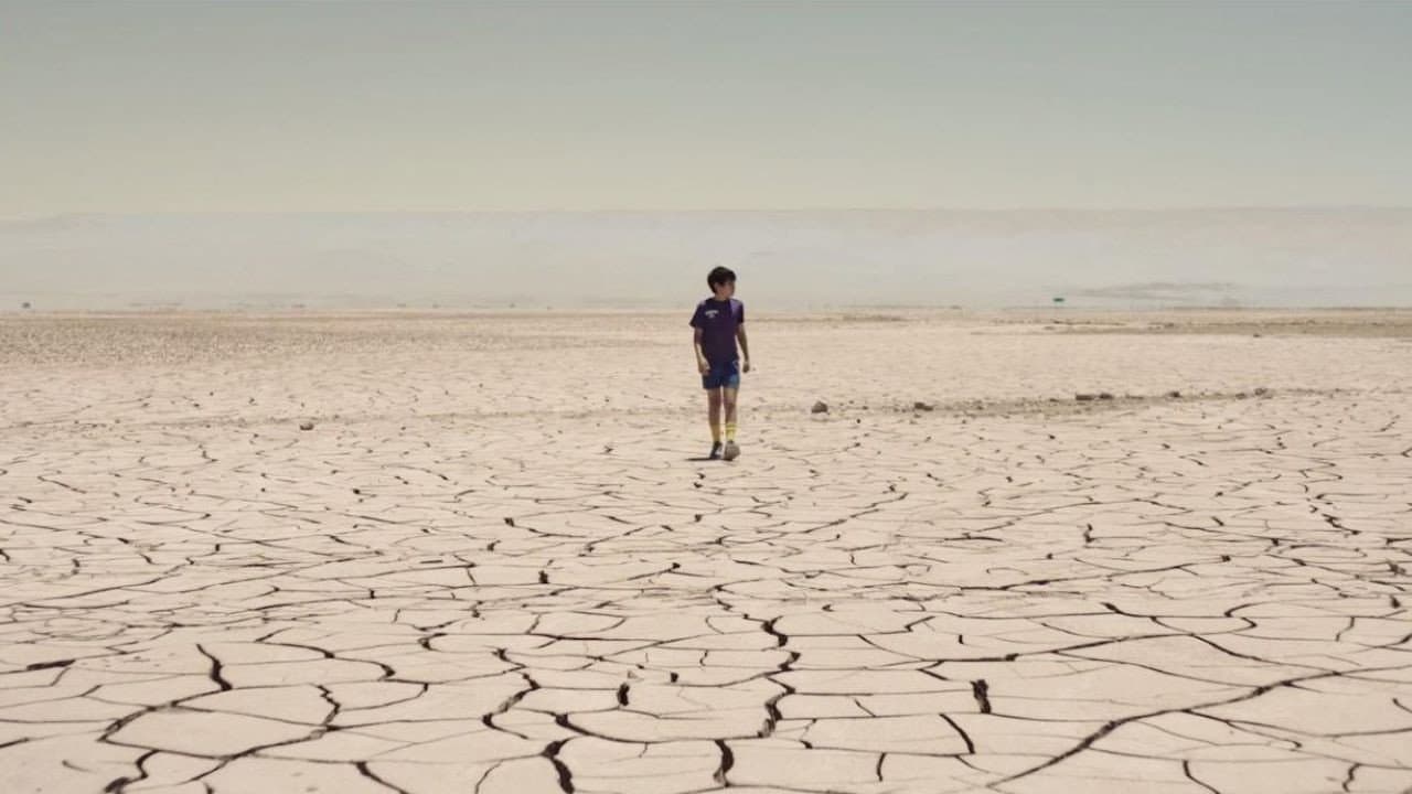 Estrellas del Desierto