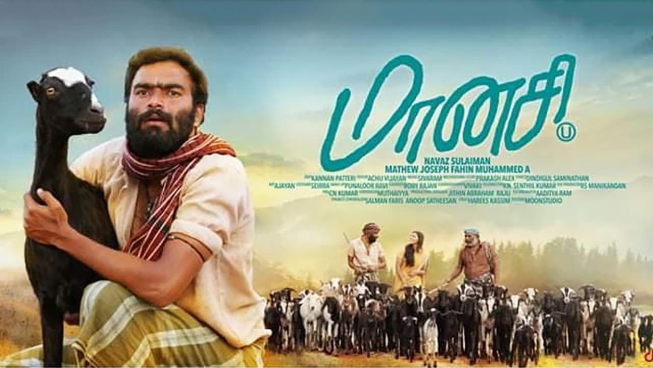 மானசி