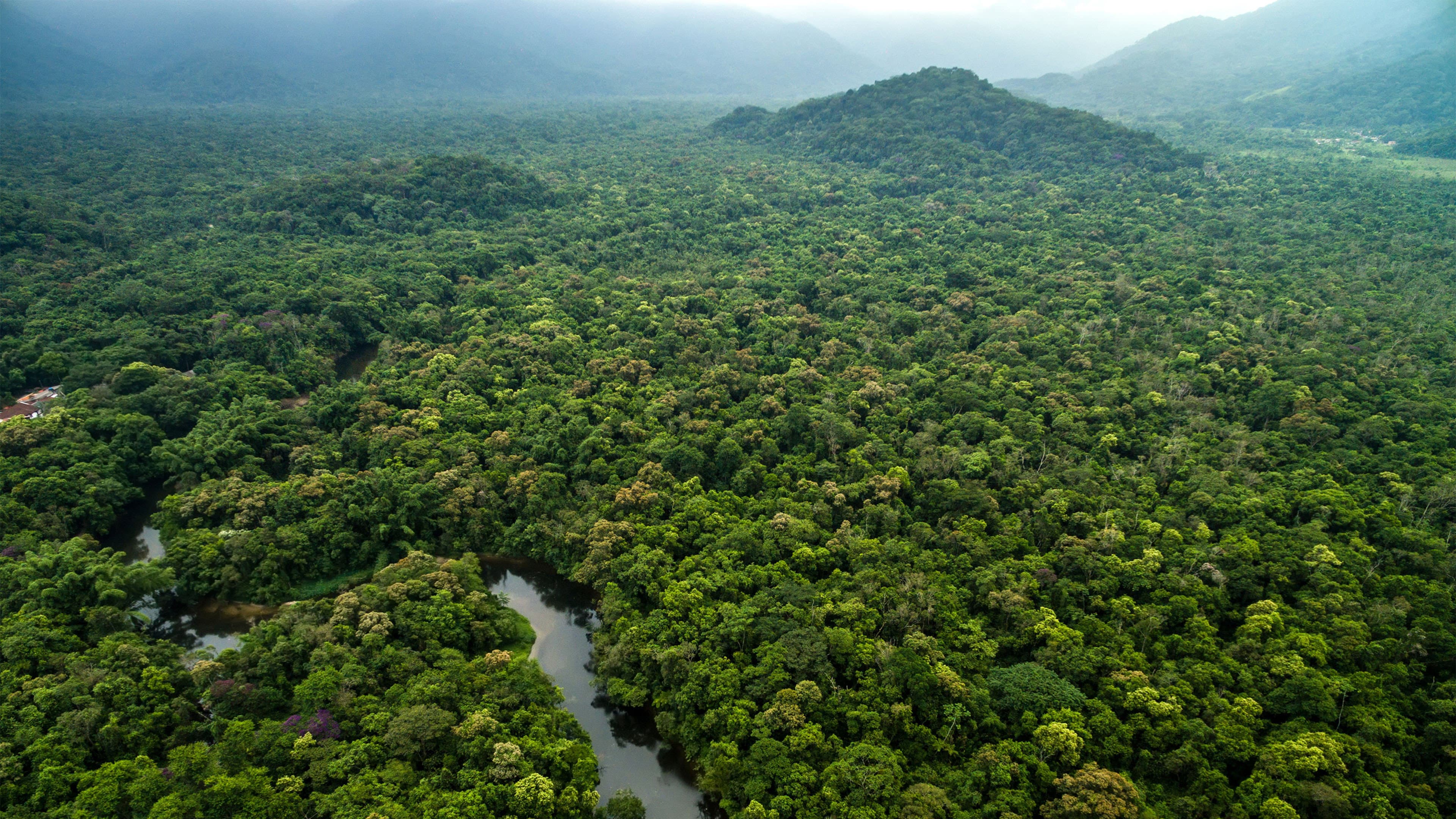 Guyane : L'or de la discorde