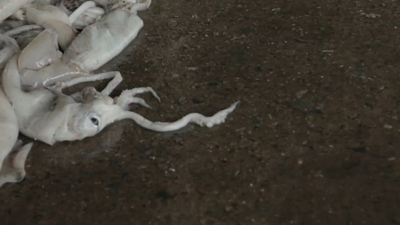 Ang pagalarawan ng kulay pula sa isang bulag