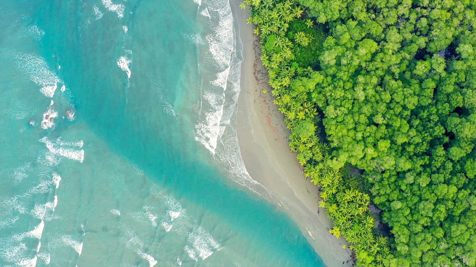 Costa Rica : Le réveil de la nature