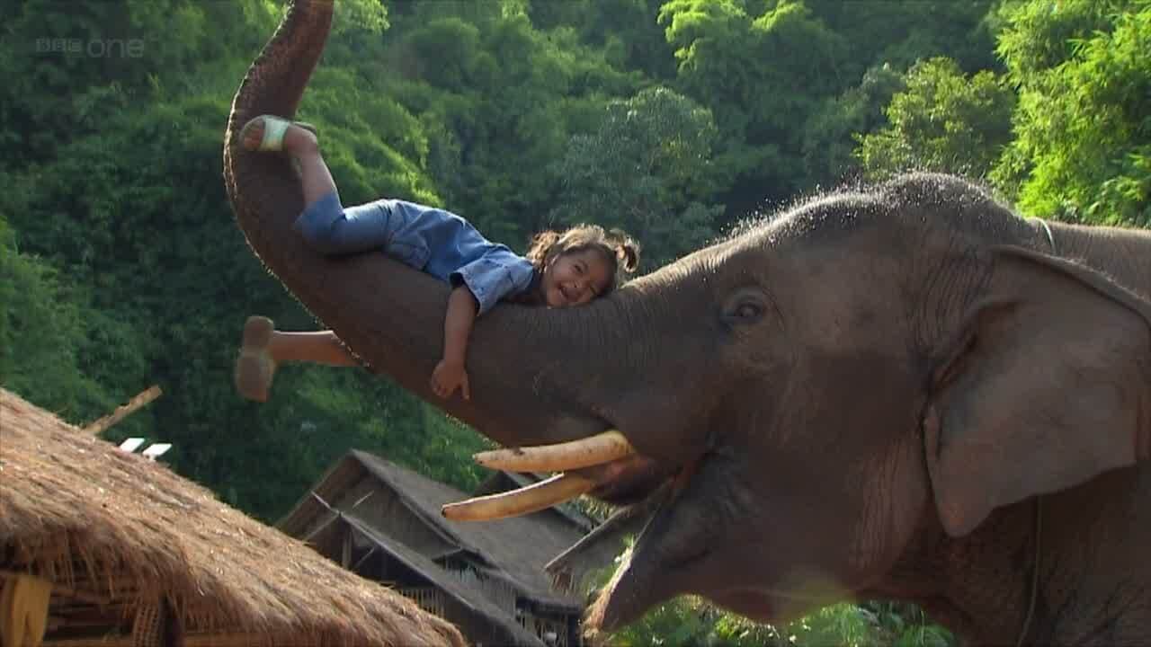 Animales superdotados