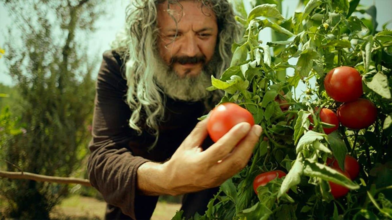 Mandıra Filozofu Koleksiyonu