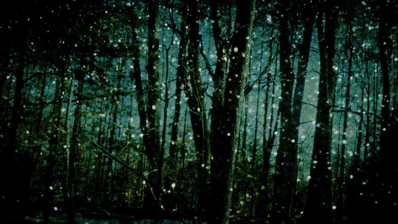 Falling Star