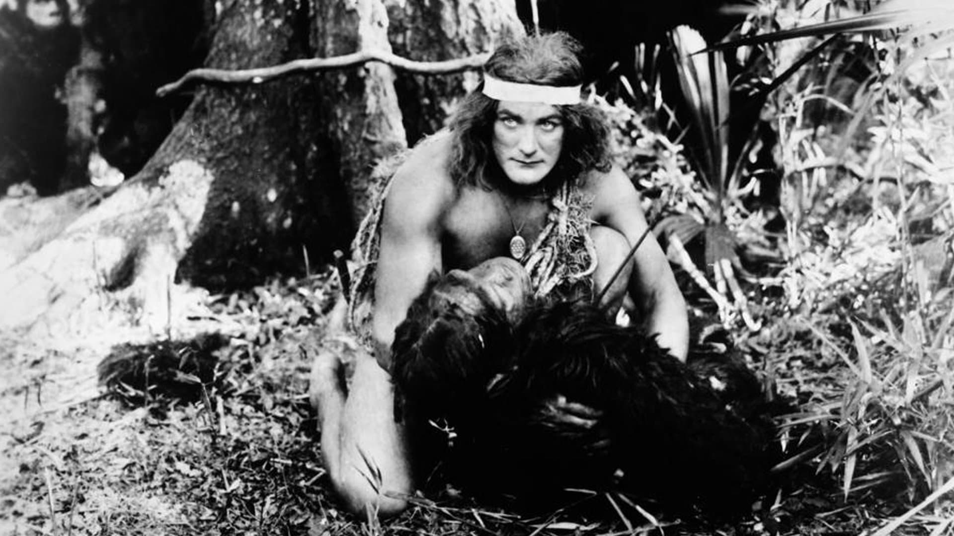 Tarzan (Elmo Lincoln) Collection