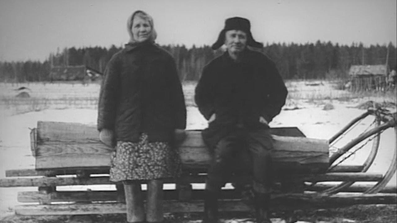 Портрет