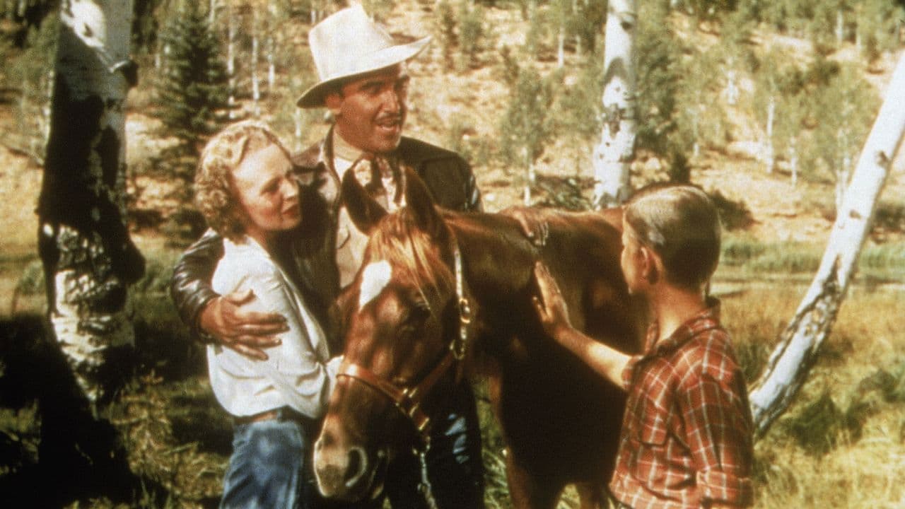 The Flicka Collection