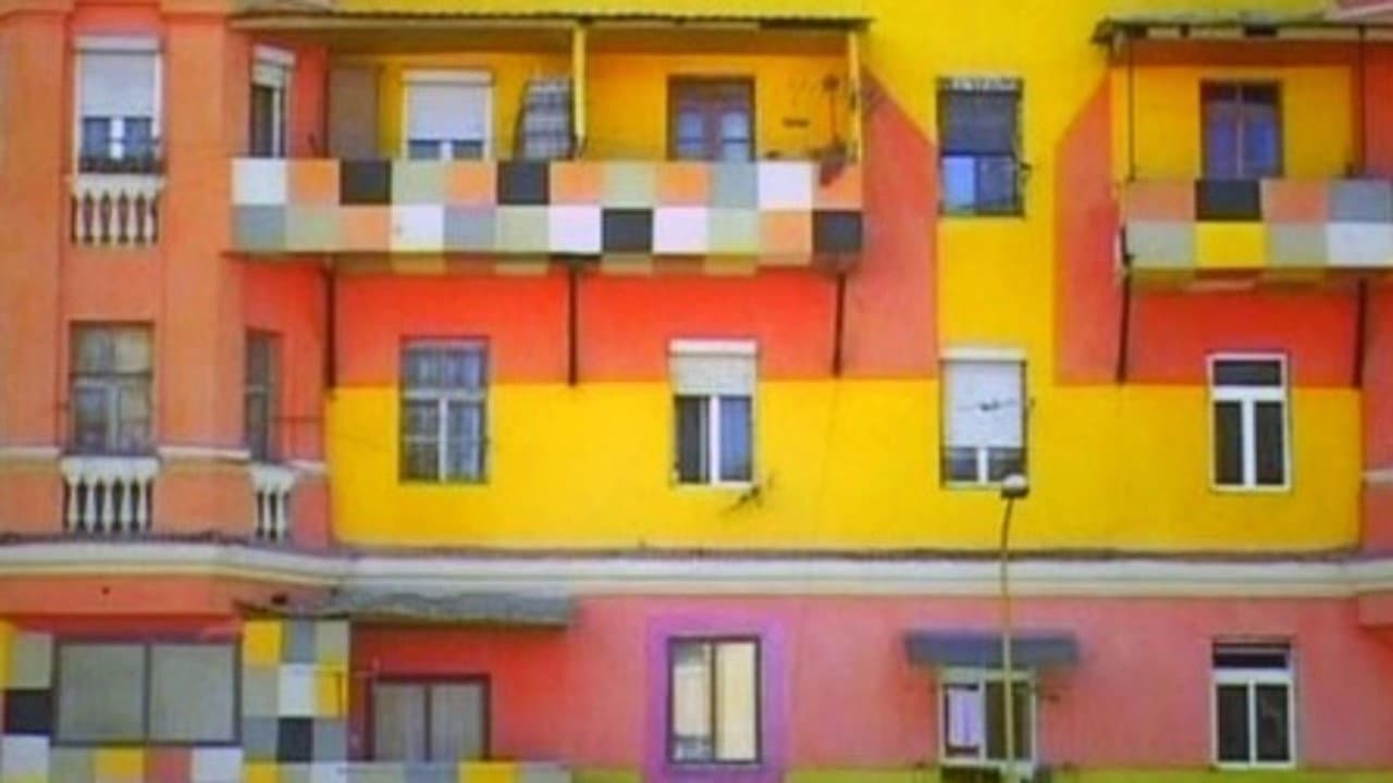 Dammi i colori