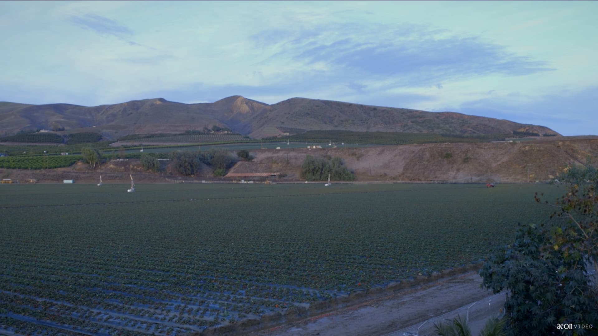 Canción del Campo