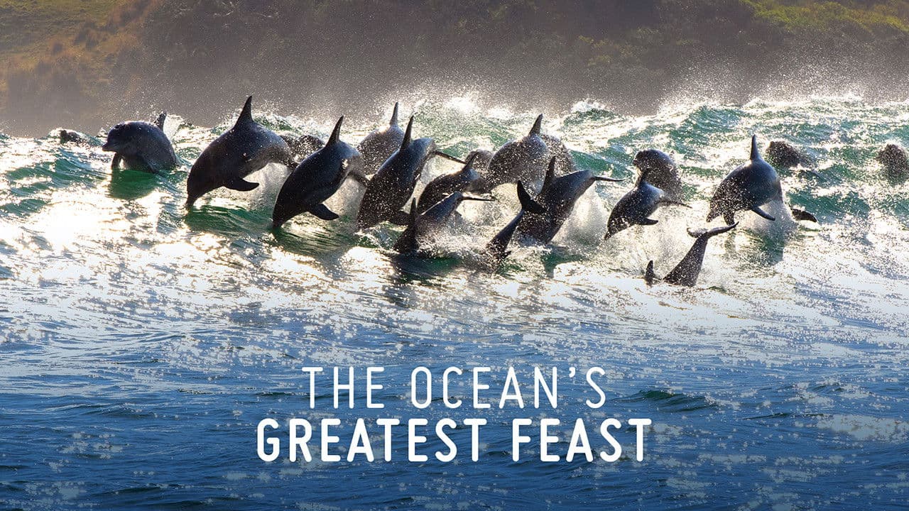 La fiesta más grande del Oceáno (The Ocean’s Greatest Feast)