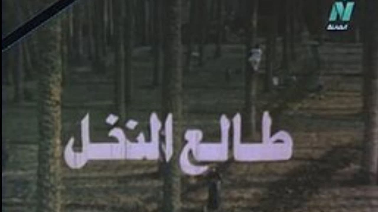 طالع النخل