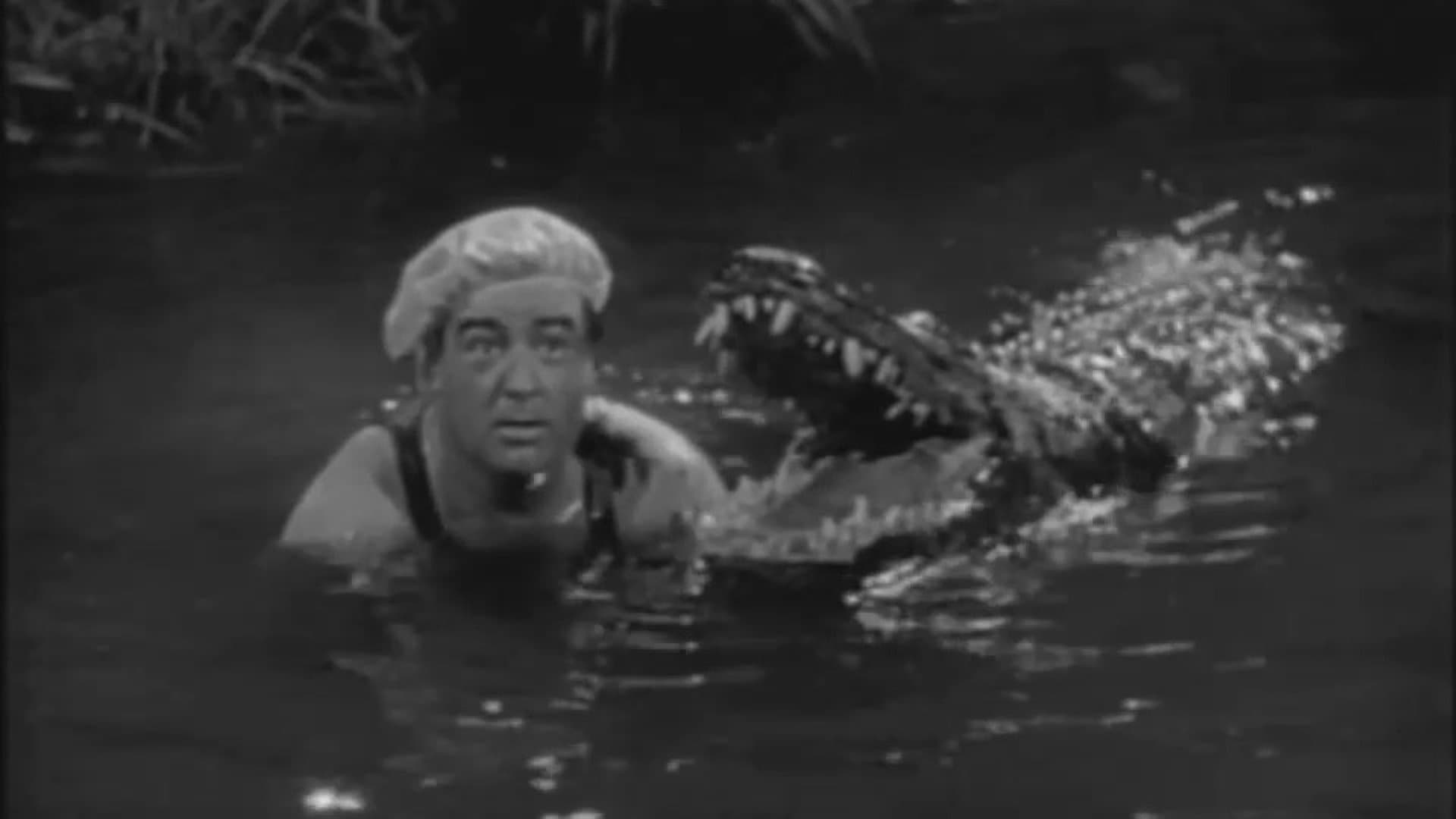 Abbott y Costello: África viva