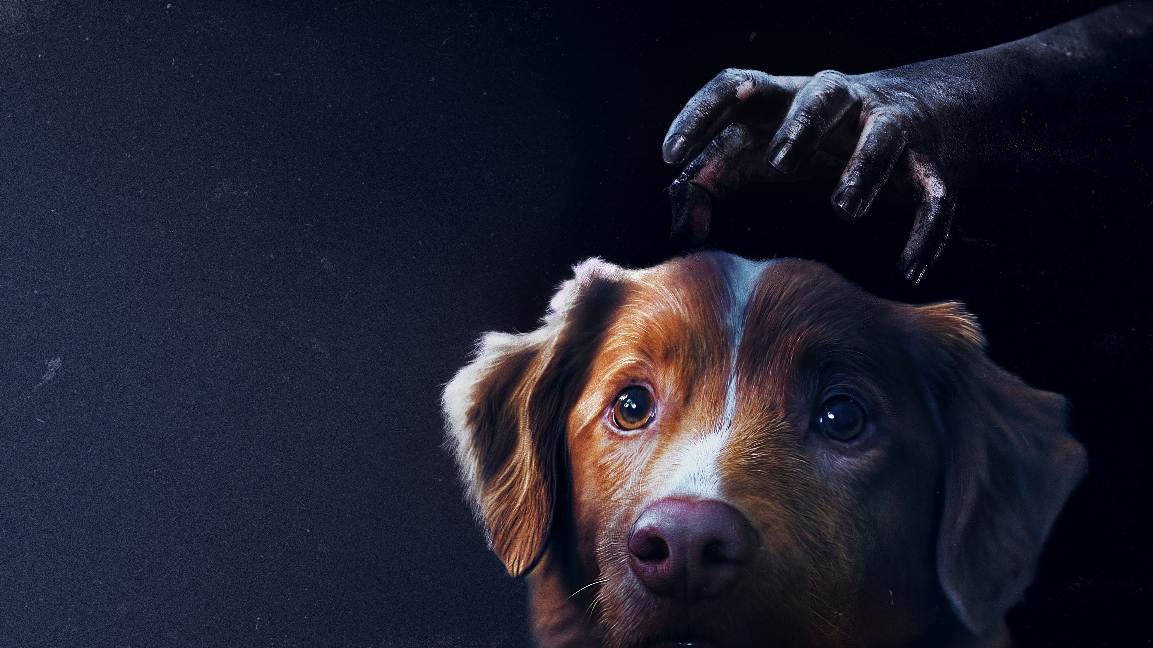 Good Boy: Confía en su instinto