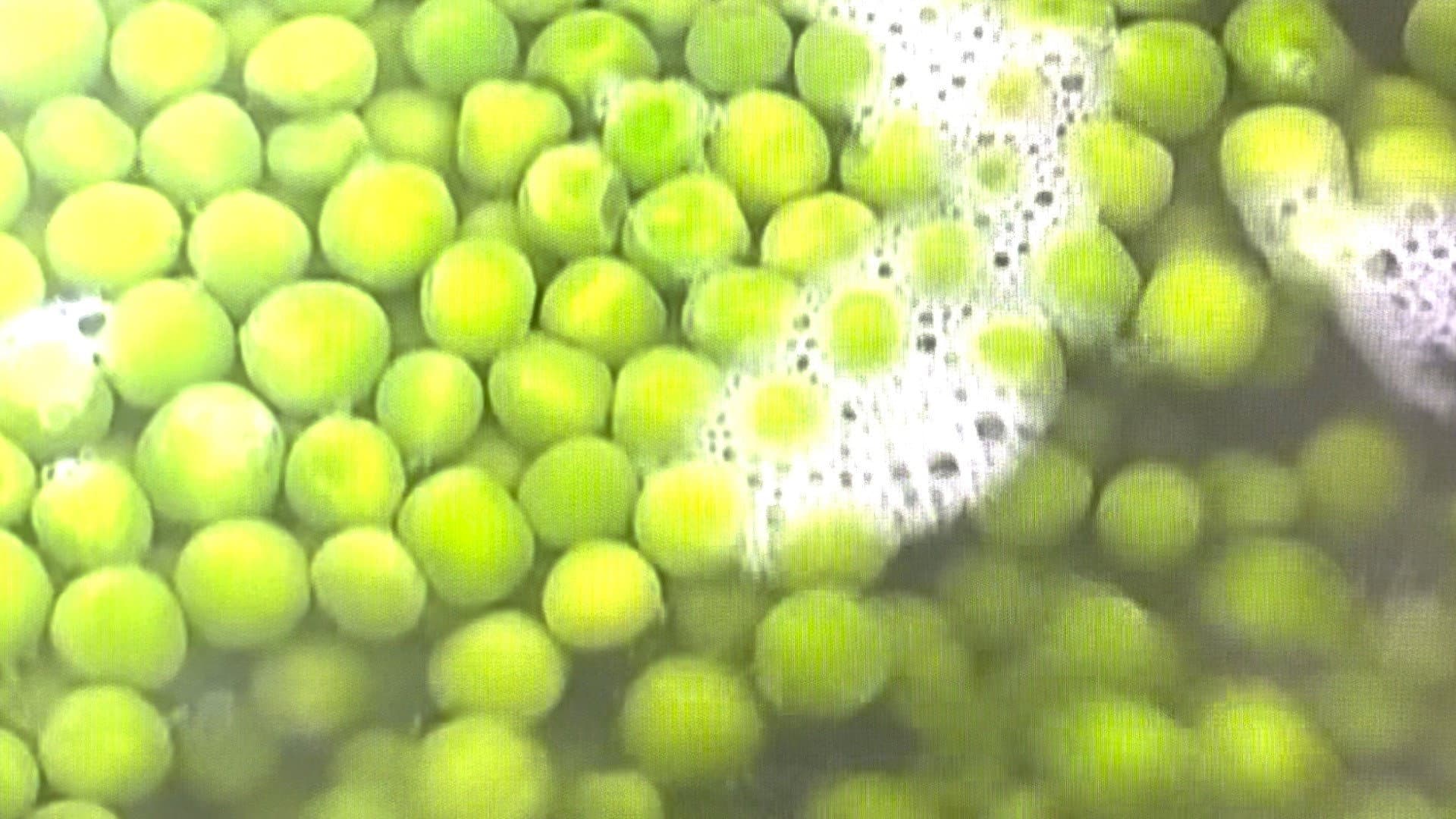 Peas