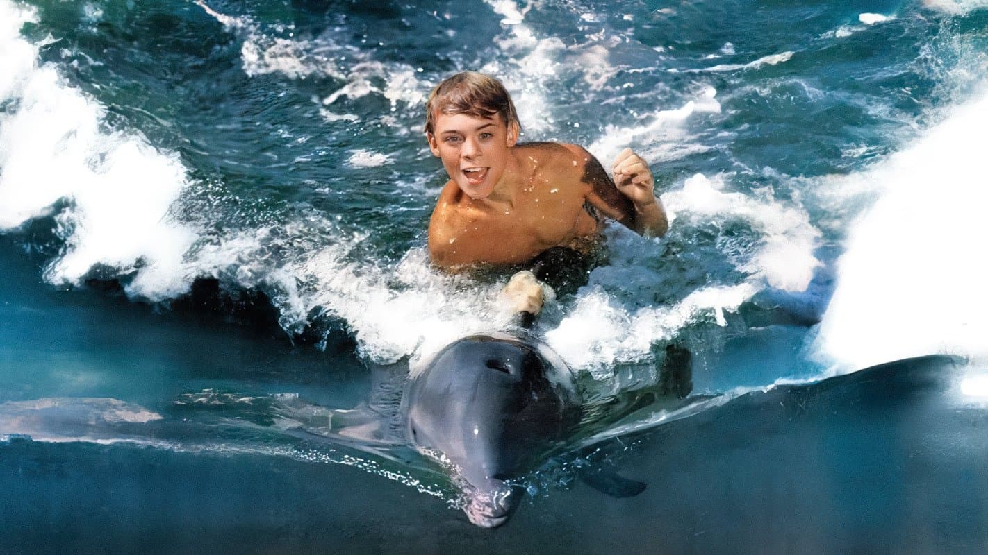 Flipper Collection
