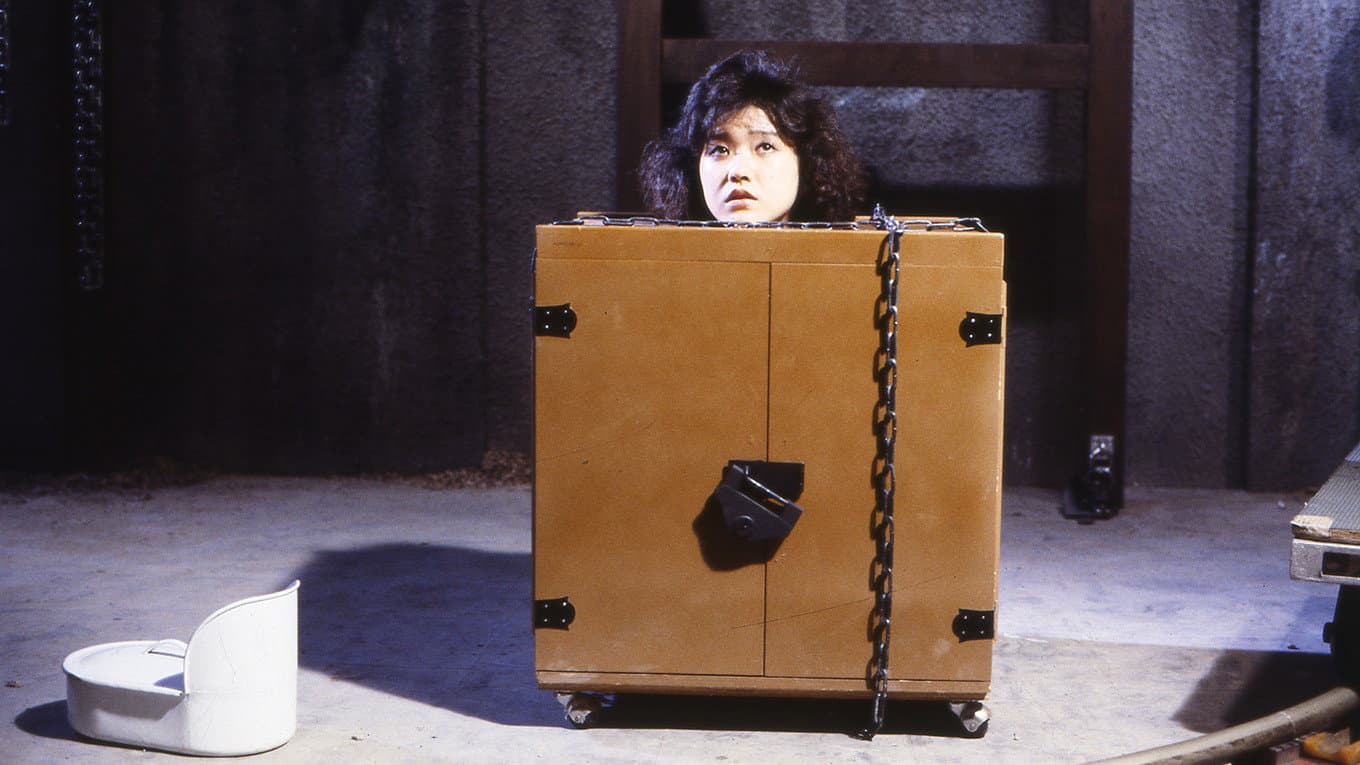 Woman in a Box Collection