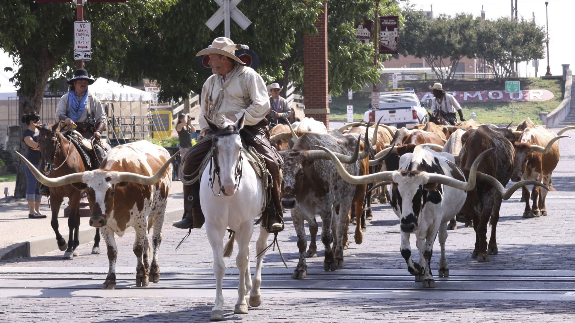 Las Aventuras de Bailey: Una Noche en Cowtown