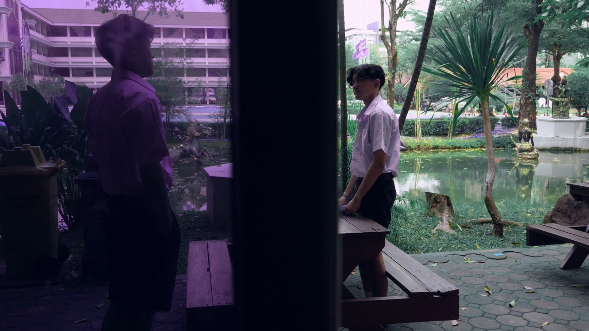 ความลับในฝูงนก