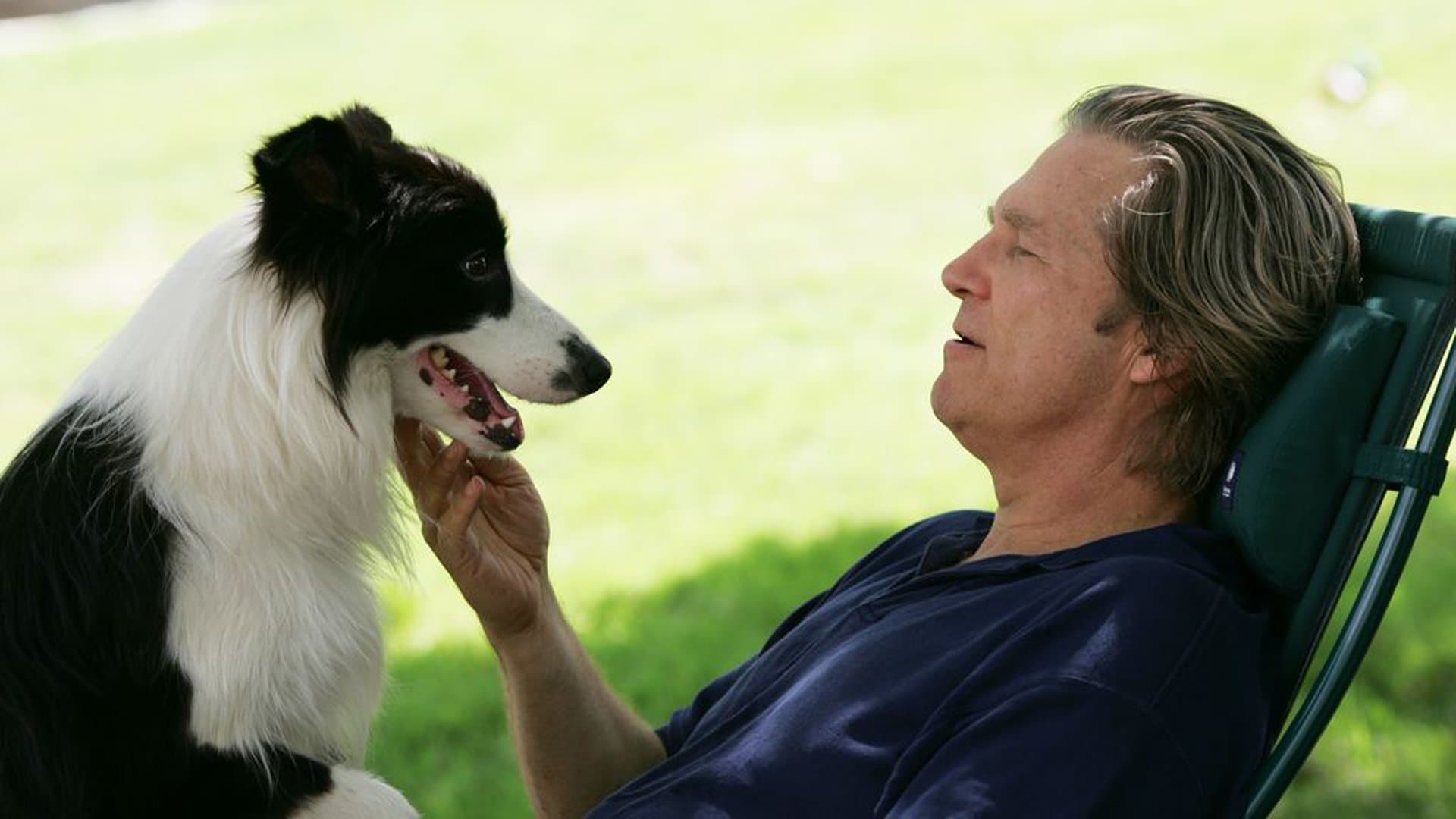 El Año del Perro