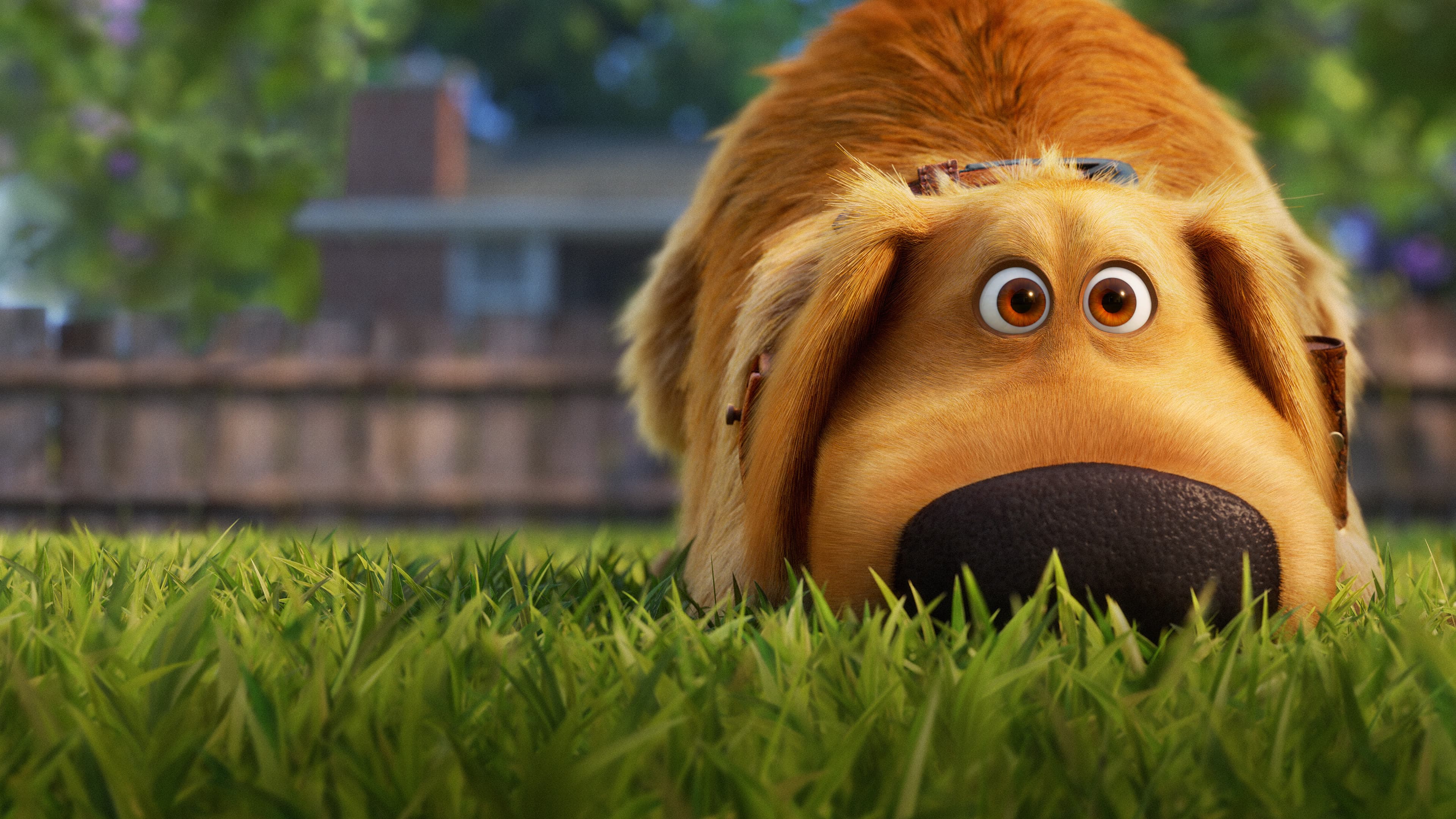 La vida de Dug