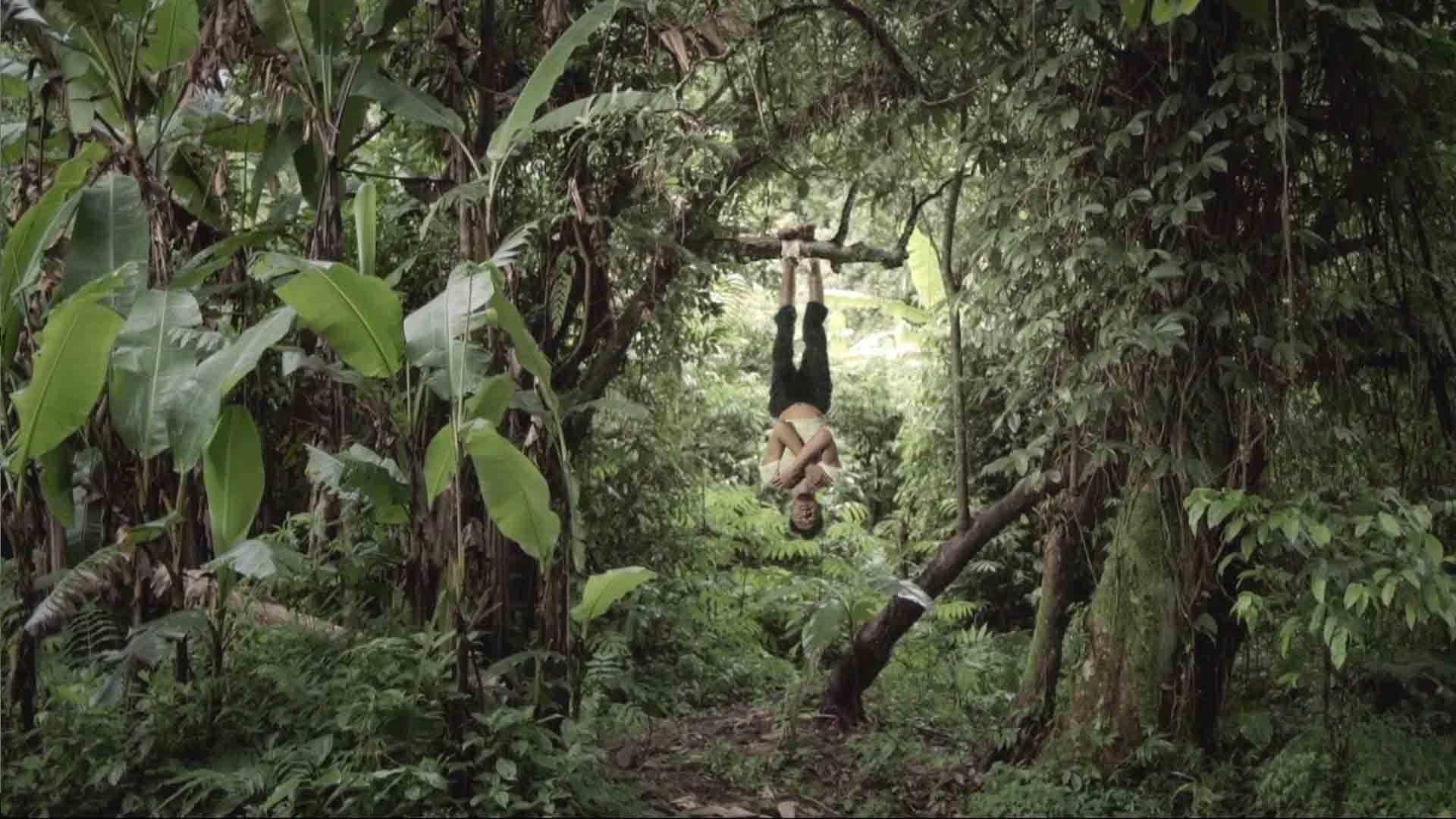 Pancasonya
