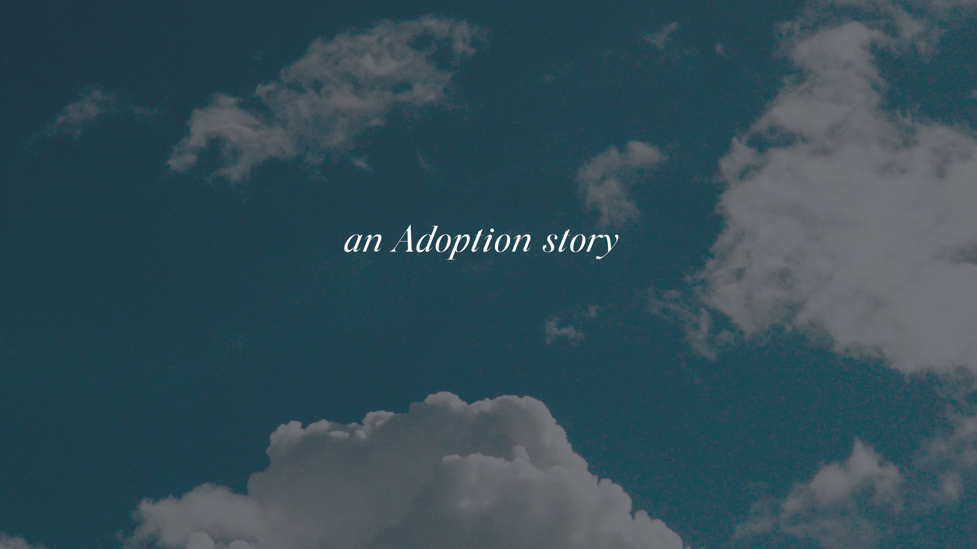 An Adoption Story
