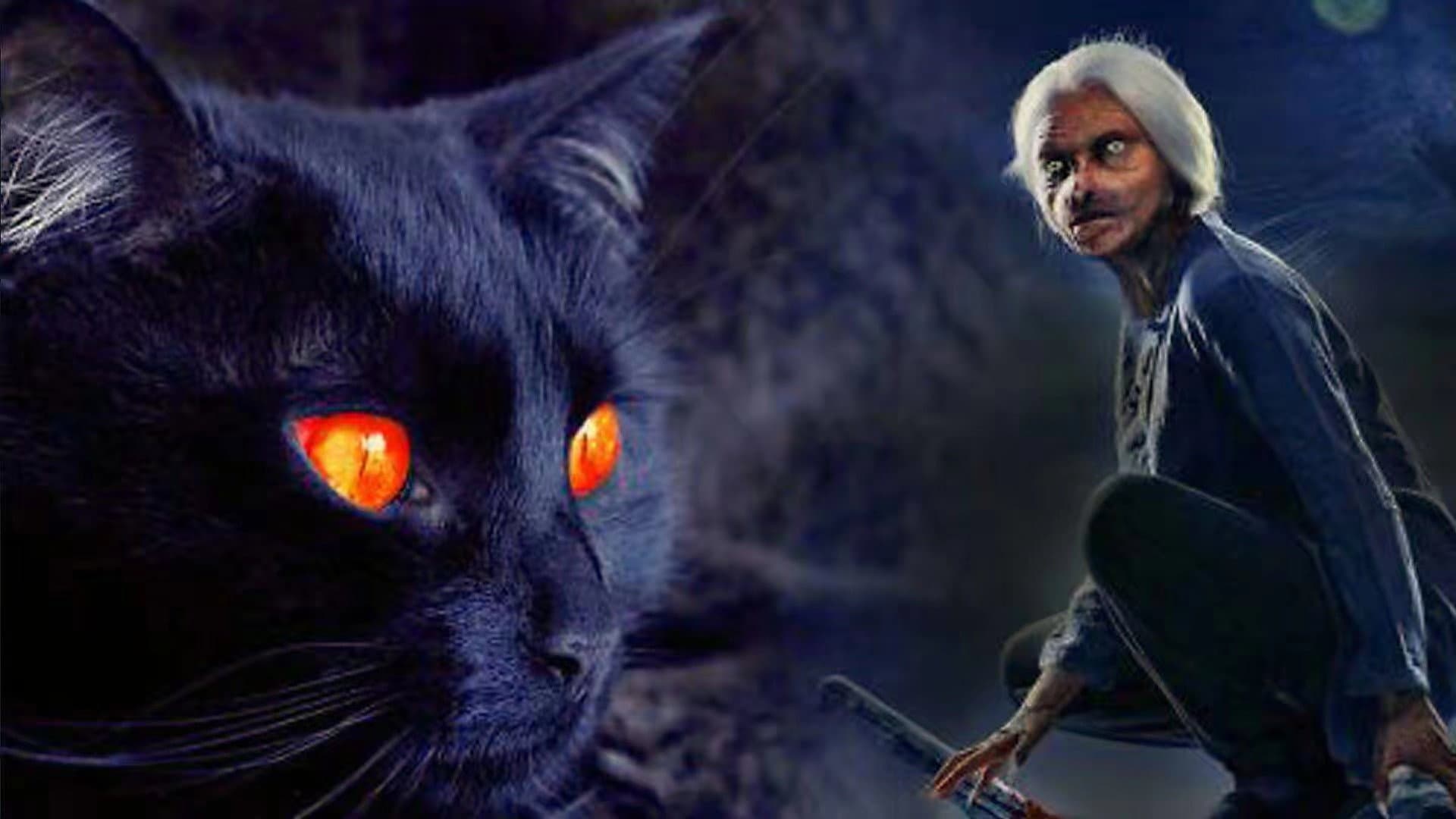 猫脸老太太