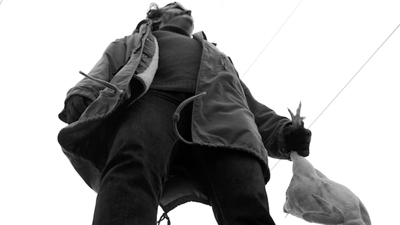 The Chicken Hunter