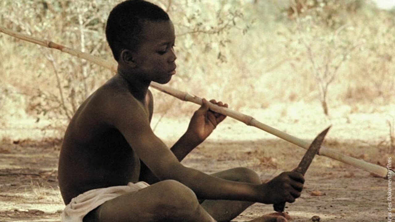 Wênd Kûuni Collection