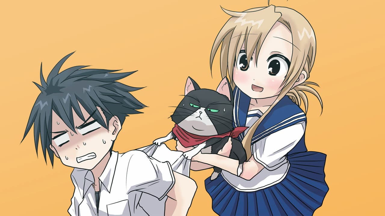 にゃんこい！