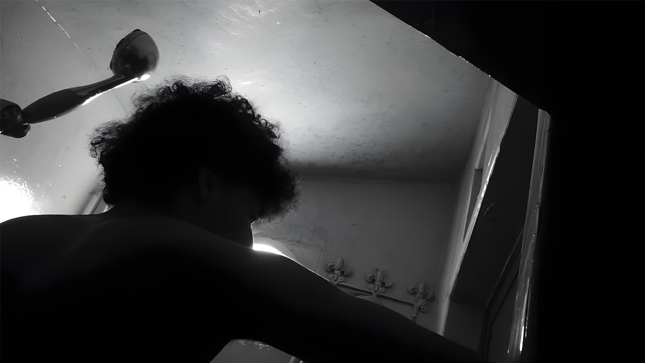 Shadows of Silence