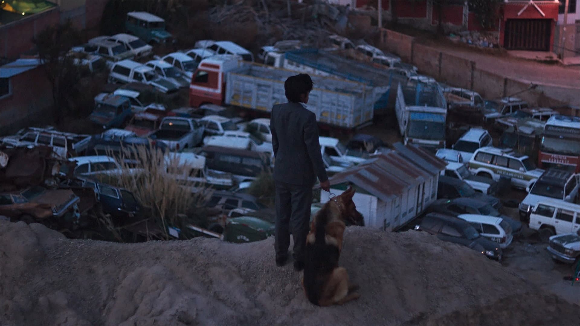 El Ladrón de Perros