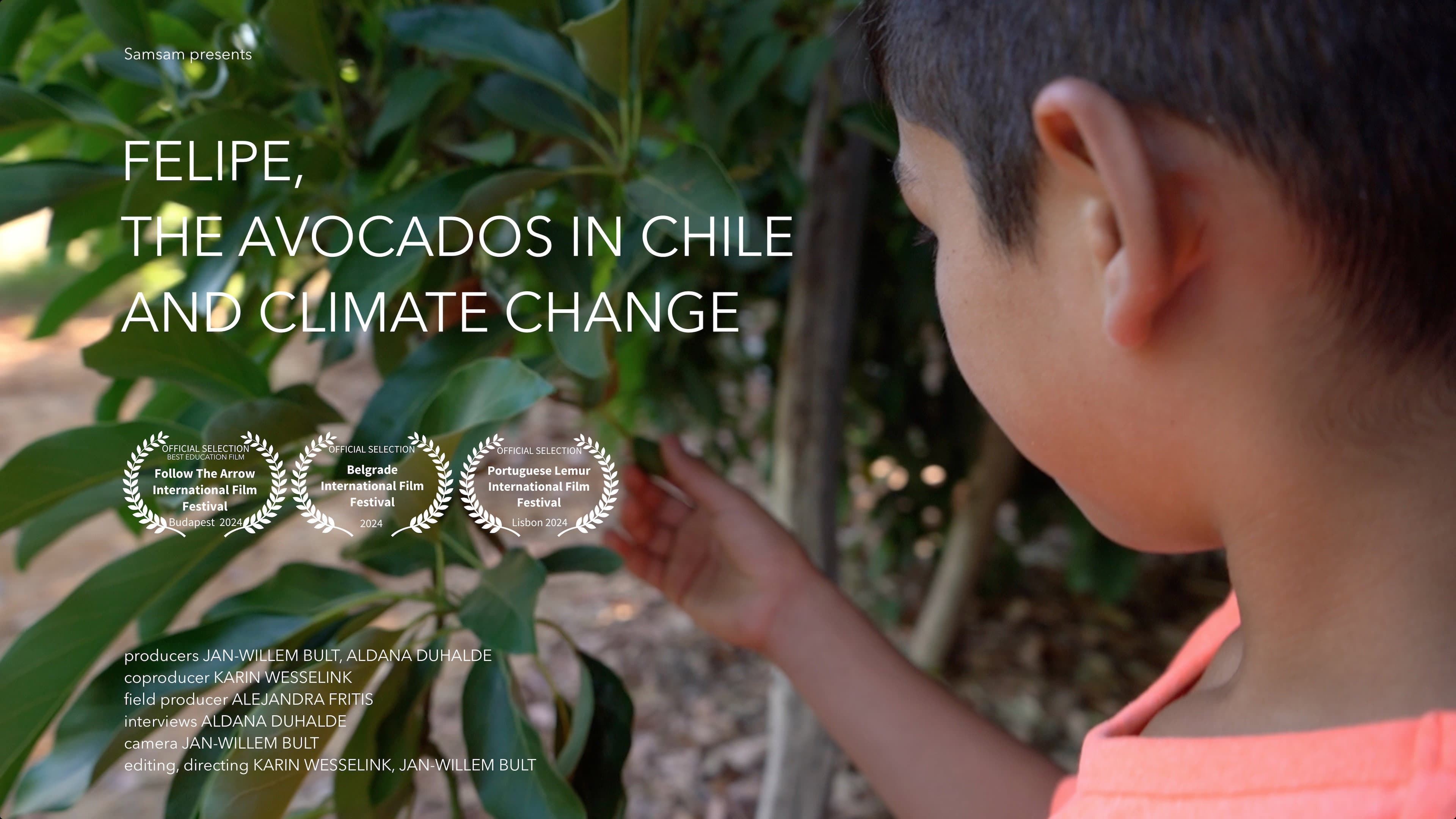 Felipe, los aguacates en Chile y el cambio climático