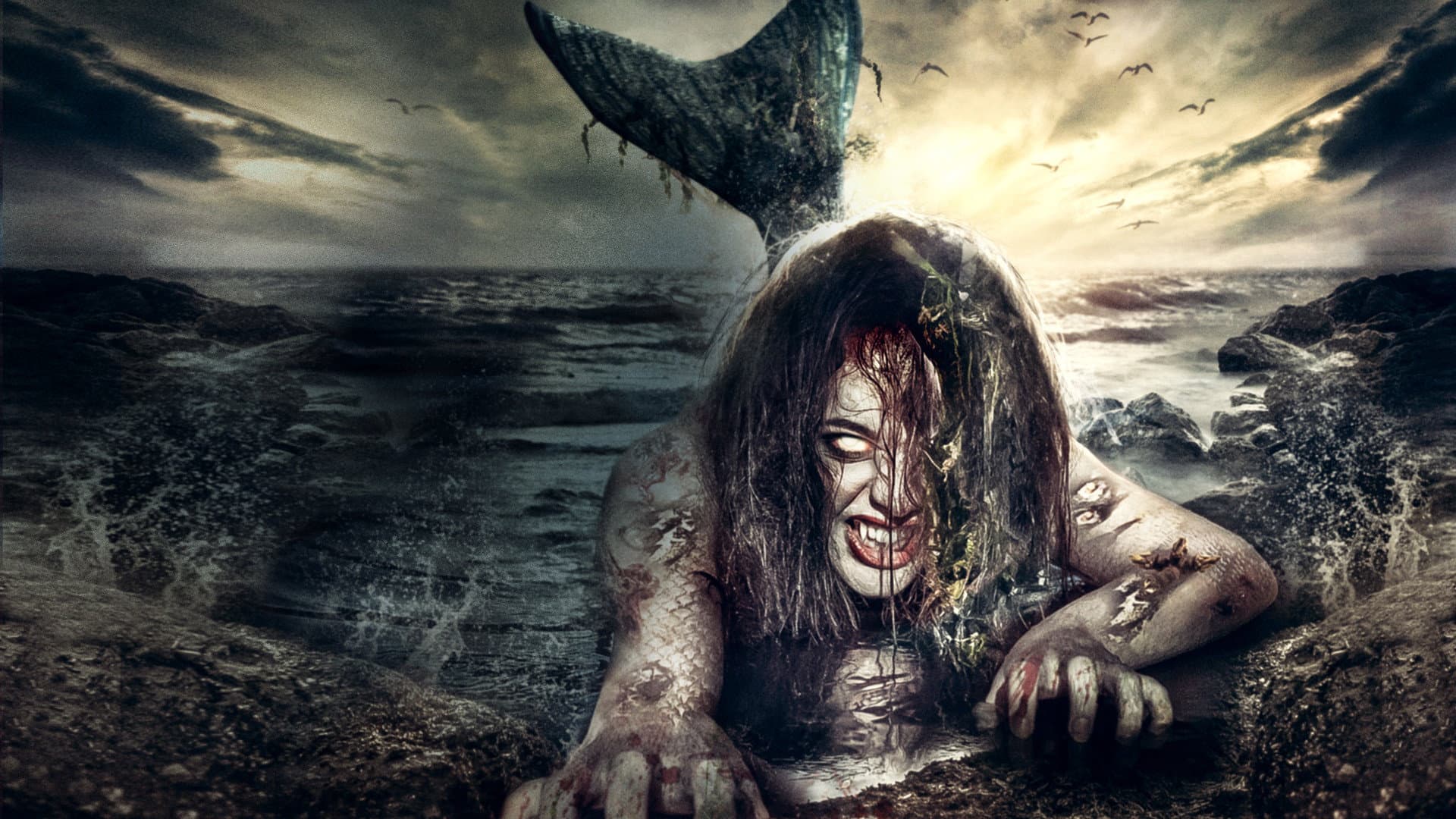 The Mermaid's Curse Collection
