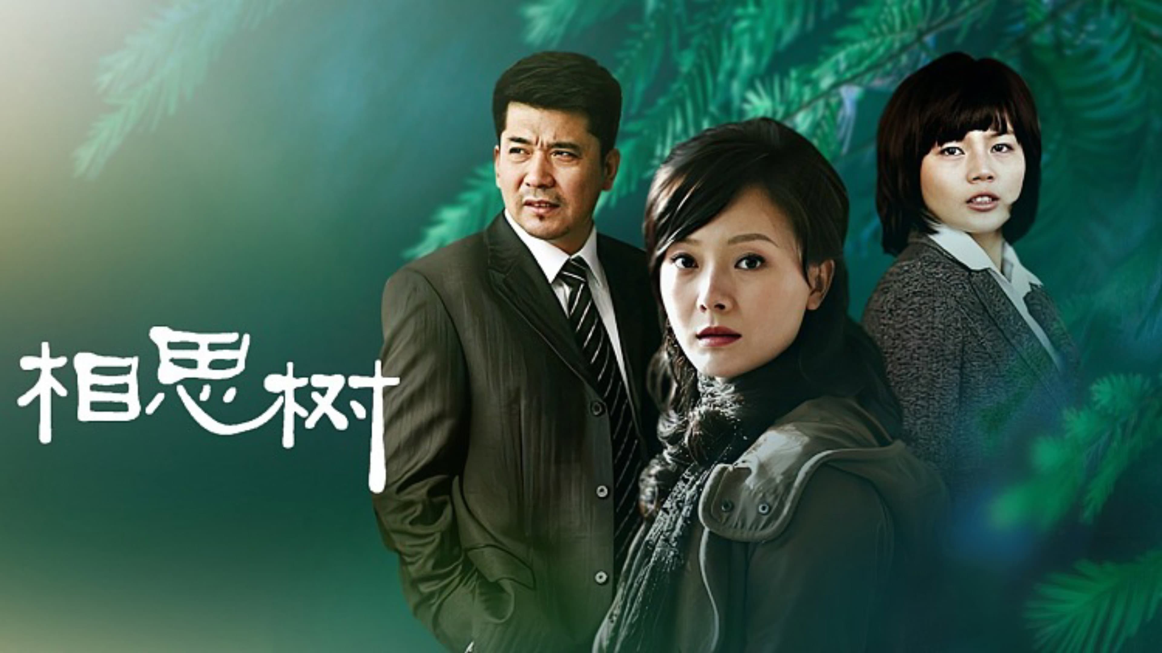 相思树