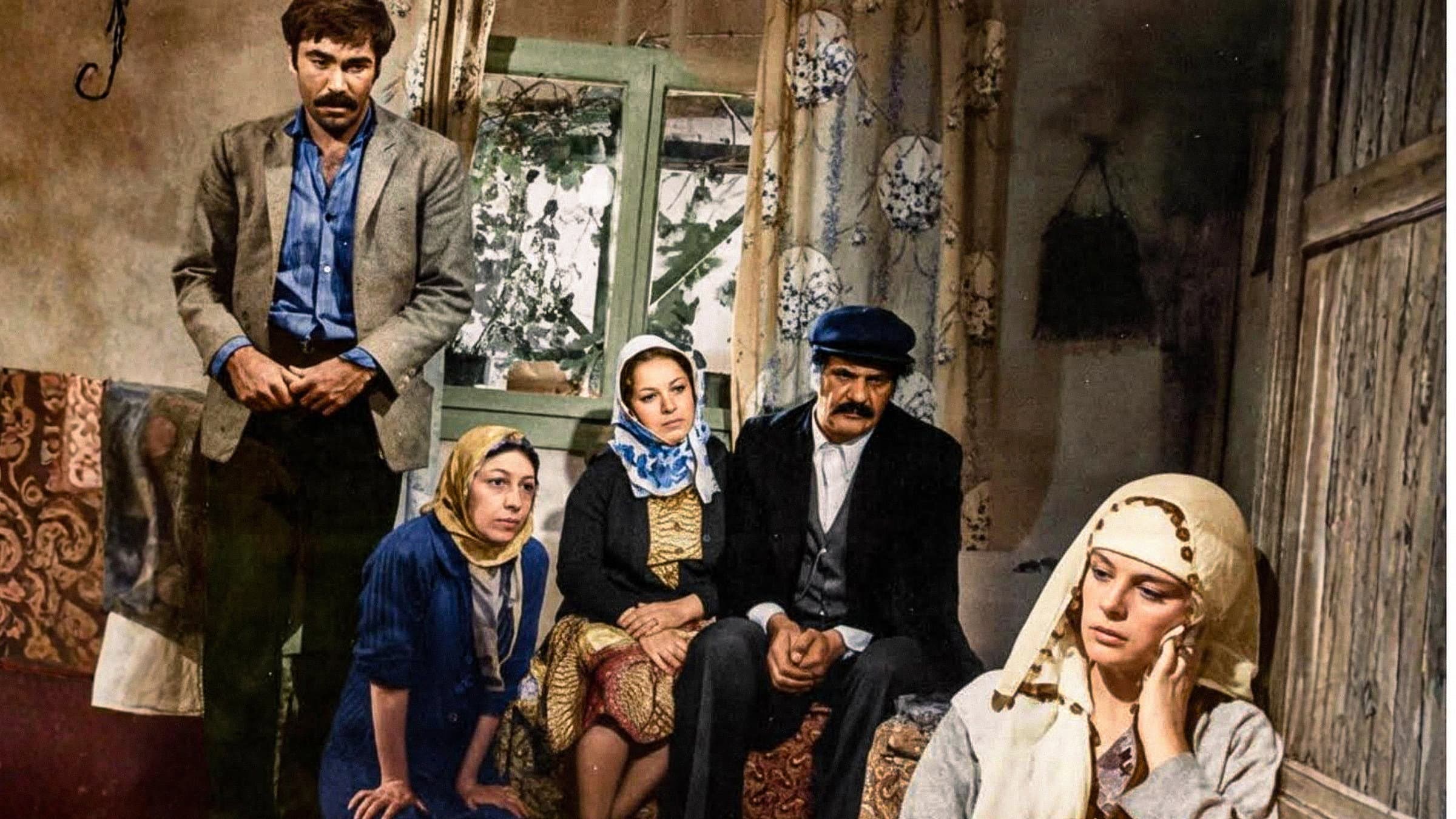Diyet