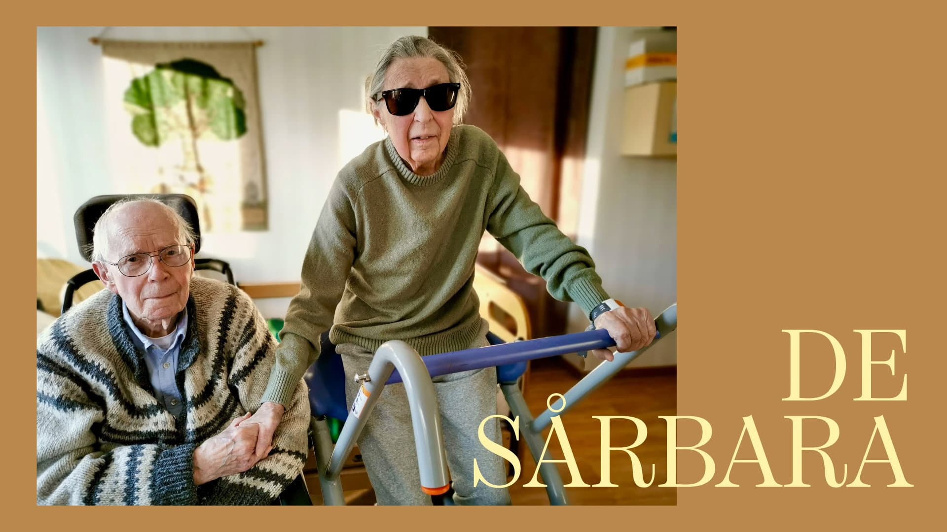 De sårbara