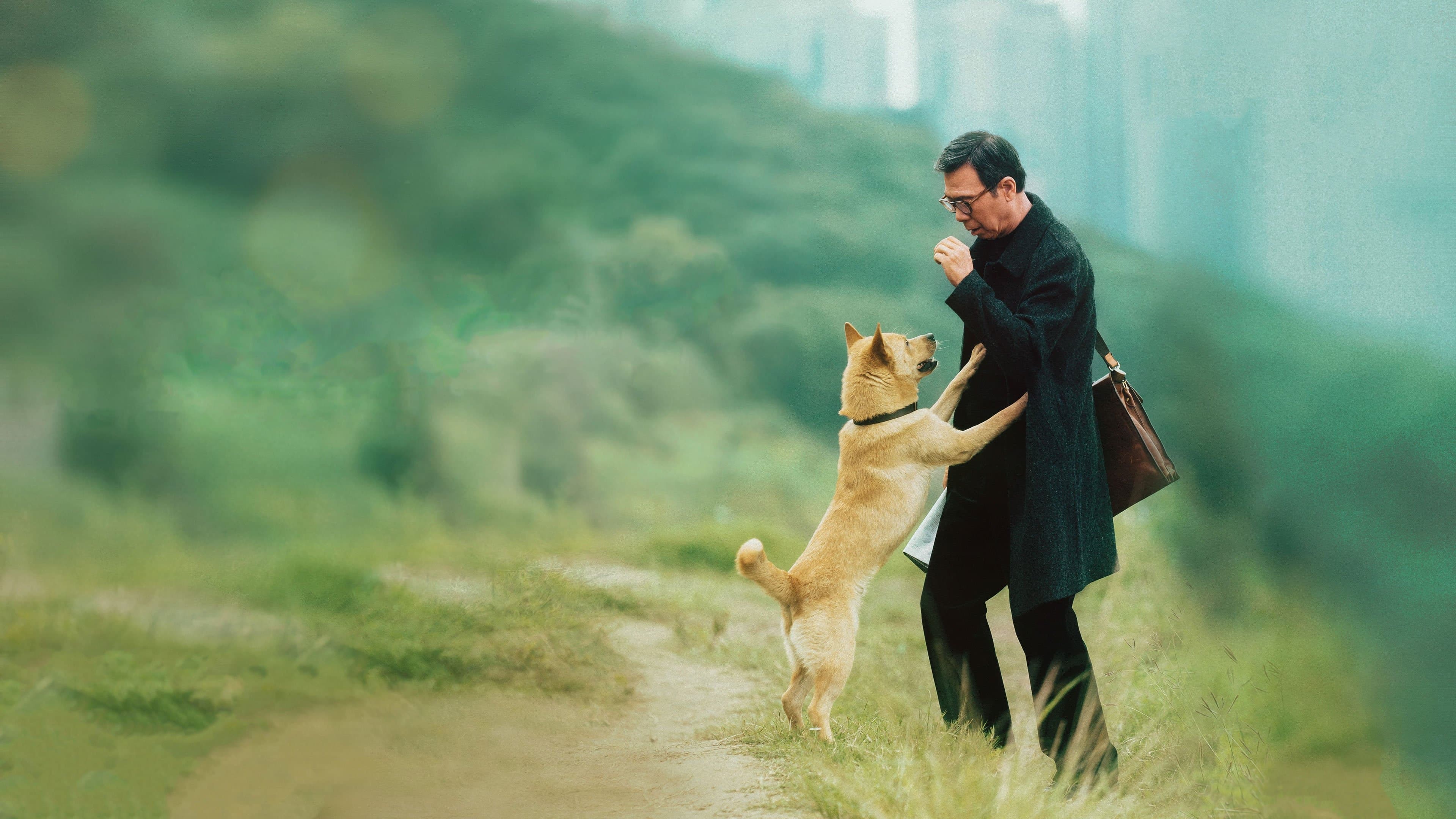 Hachiko 2: Siempre a tu lado