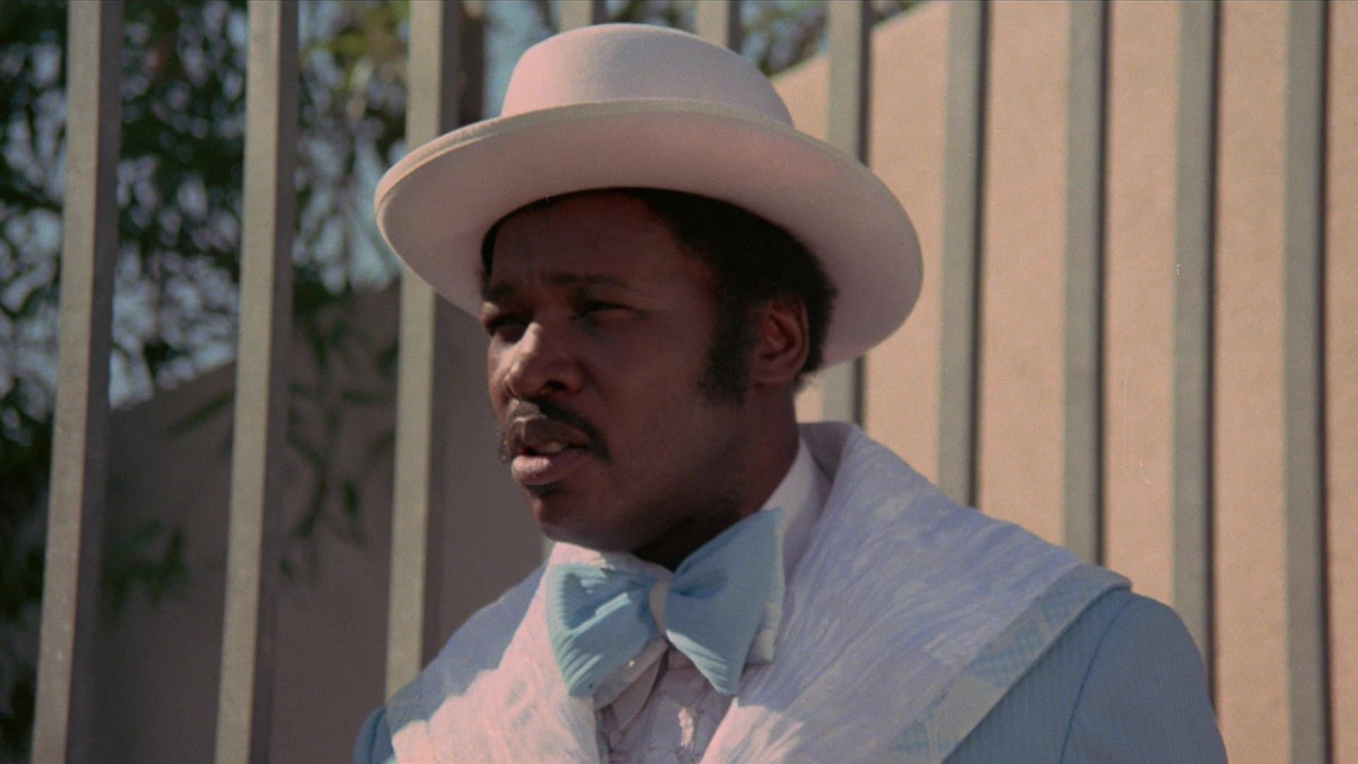 Dolemite Collection