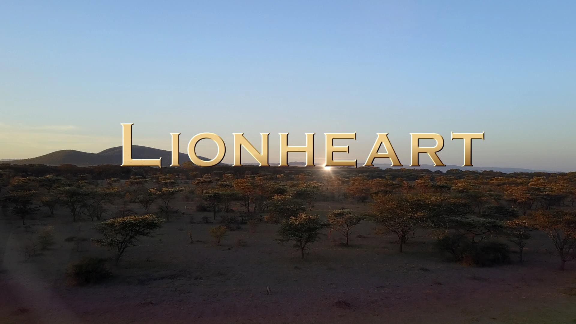 Lion Heart