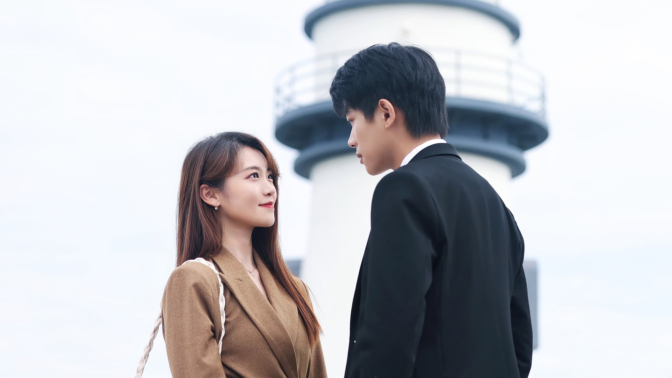 晴晚之林