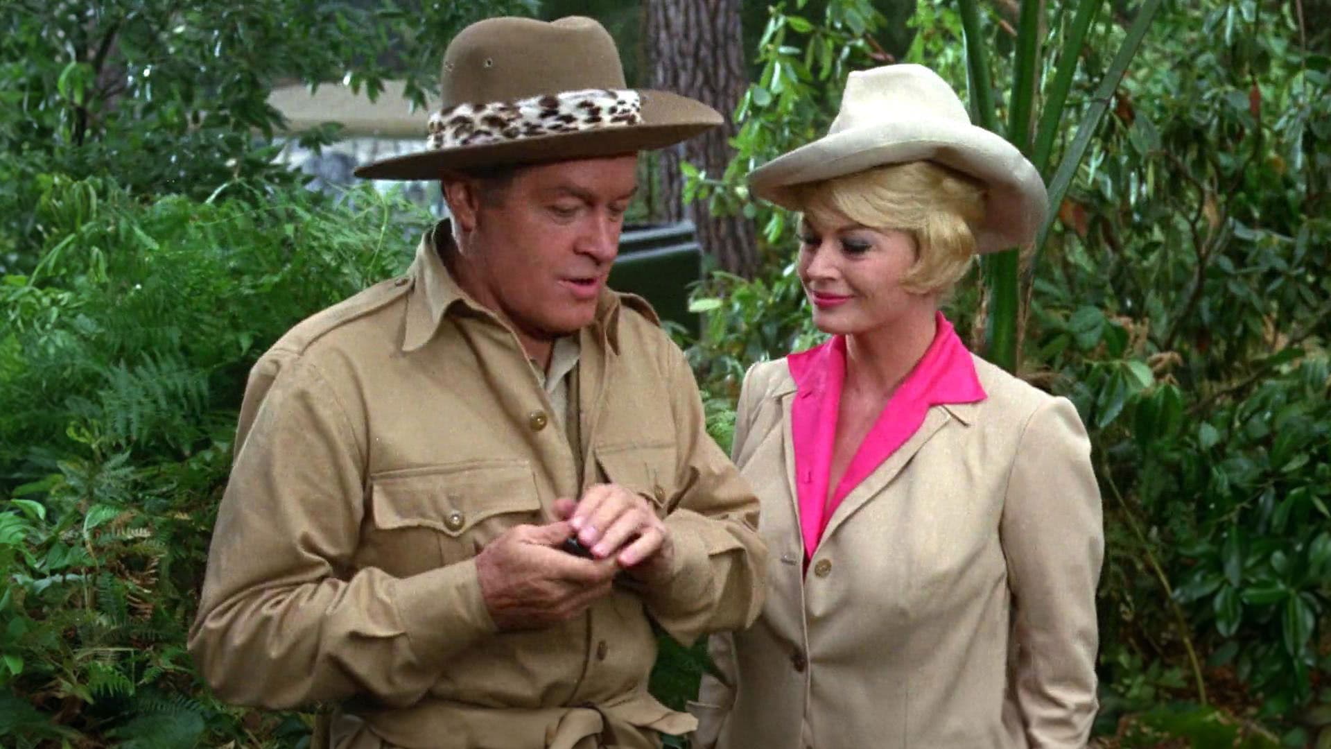 Safari sensacional