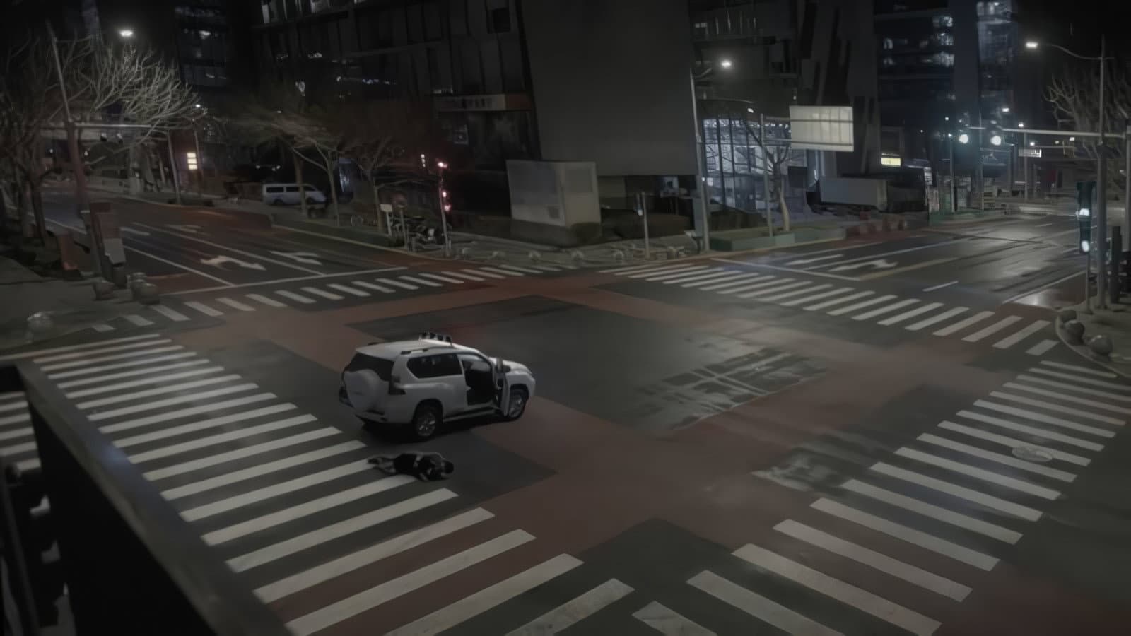 郑哲的眼睛