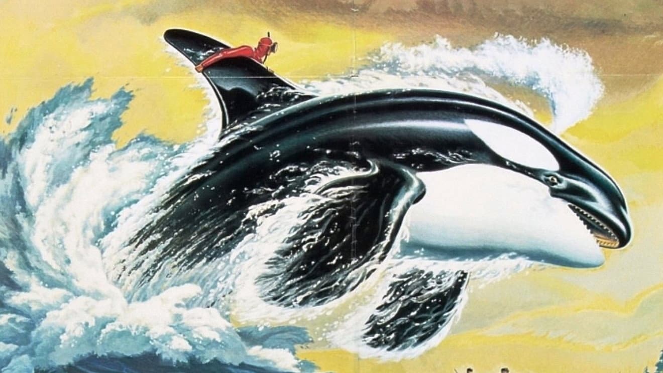 Namu, la ballena asesina
