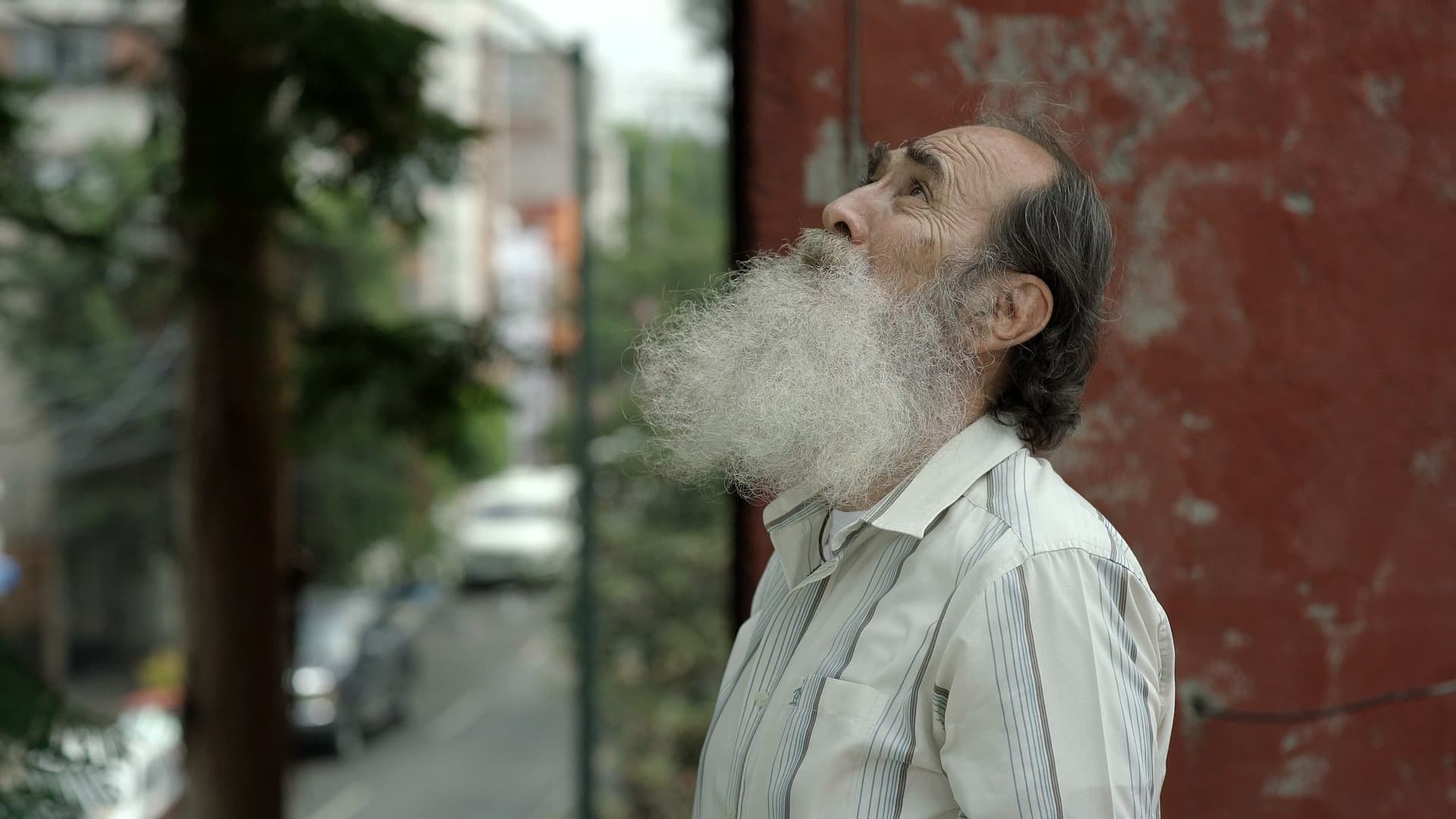 Mirando al Cielo
