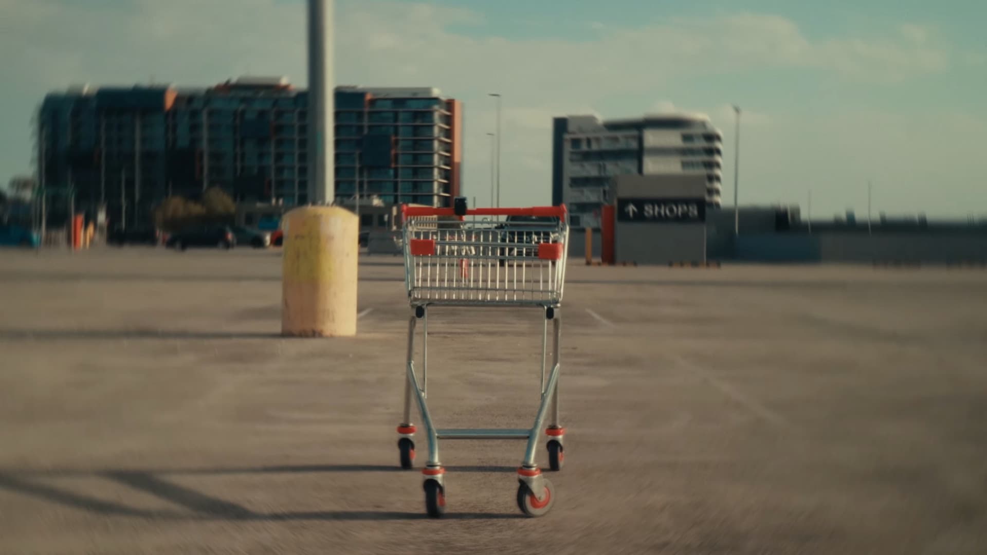 The Trolley Problem
